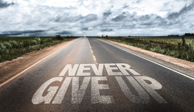 never give up improving your website