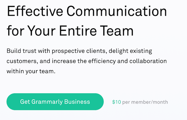 business options for your team