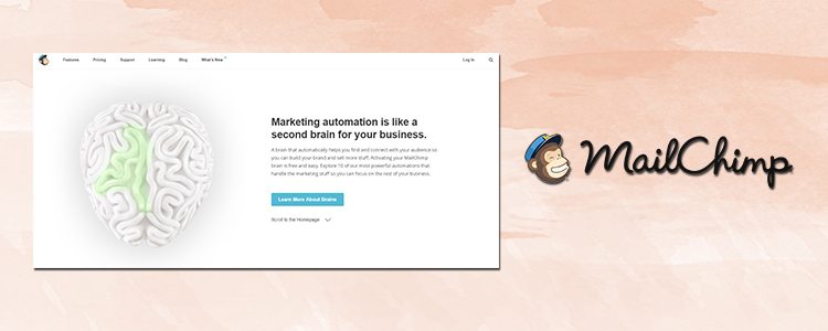 mailchimp logo and a a screen shot of a download page that says marketing automation is like a second brain for your business, a good example for best email marketing