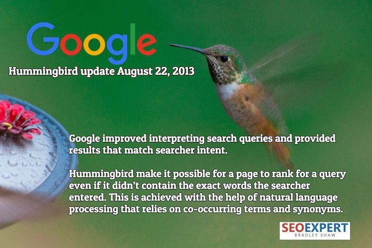 facts about the hummingbird update in 2013