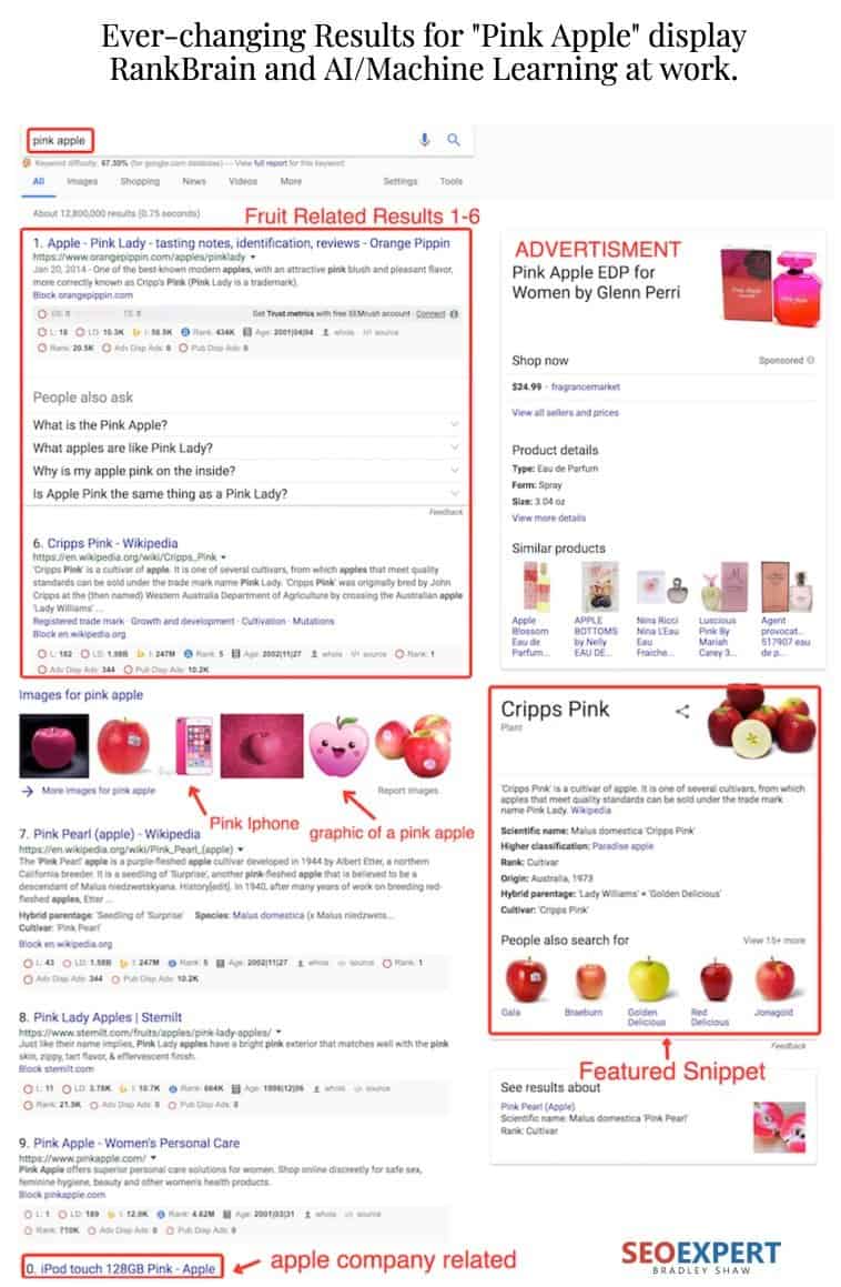 google serps for searching an ambiguous term