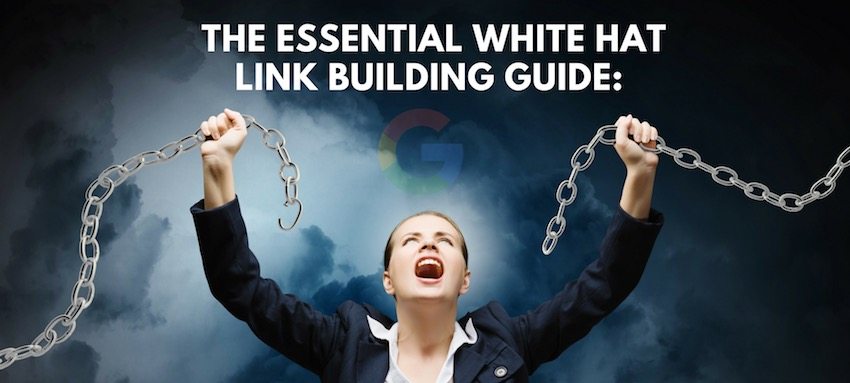 organic link building services